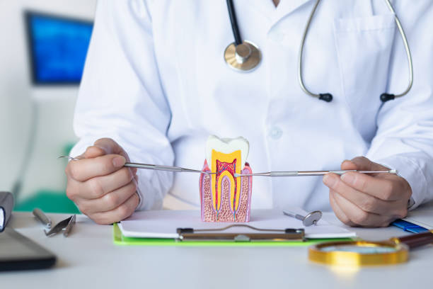 Best Knocked-Out Tooth Emergency  in Mosinee, WI